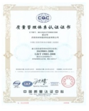ISO9001 国际质量管理体系认证：UQ190999R0